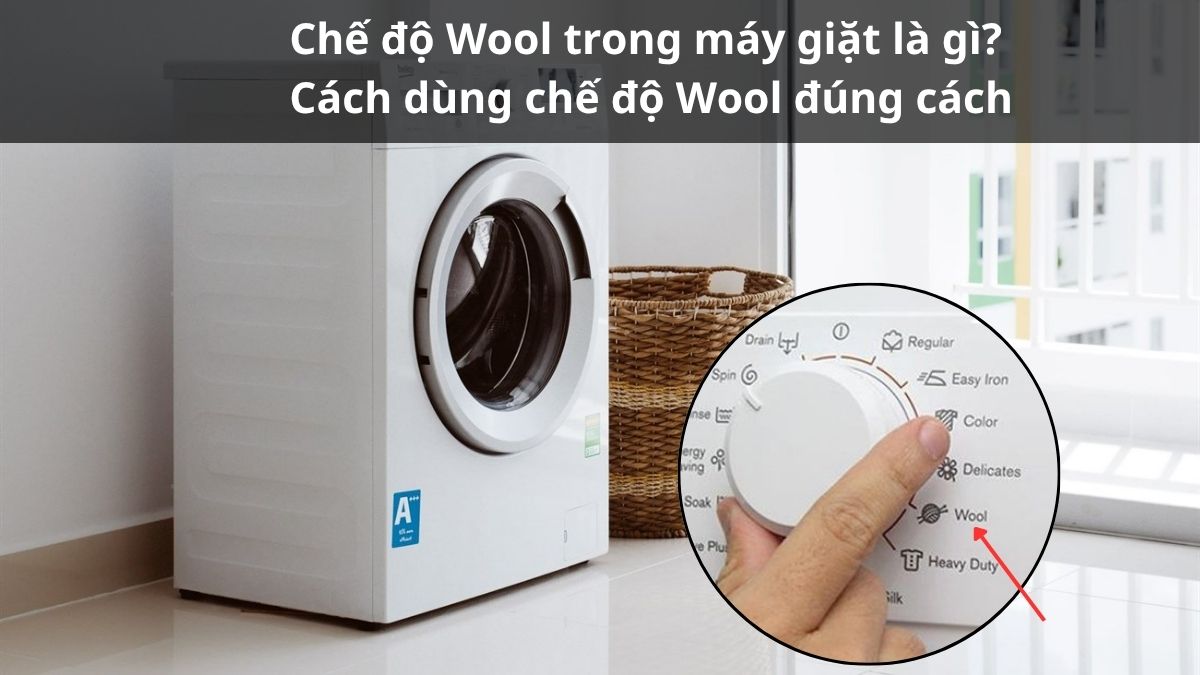 Chế độ Wool trong máy giặt là gì? Cách dùng chế độ Wool đúng cách